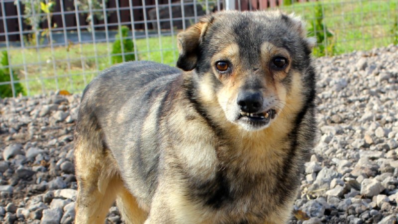 Message from Founder 2016