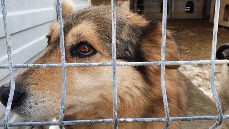 1 minute, time of a whole life