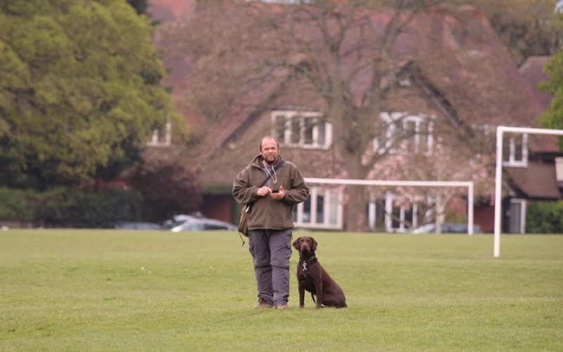 The Romanian Rescue Dog